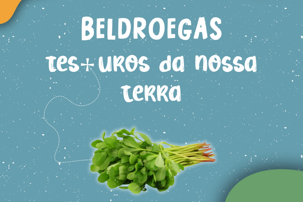 Beldroegas - tesouros da nossa terra